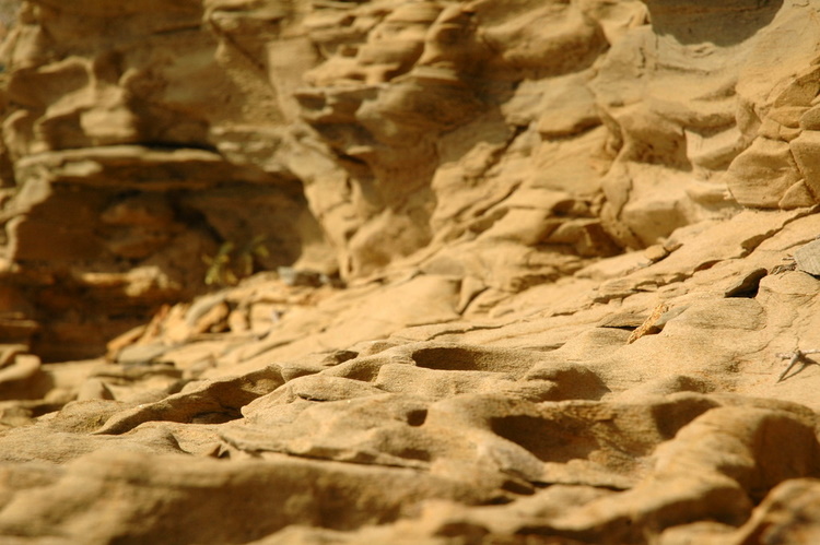 april2007/rocks_cadaques