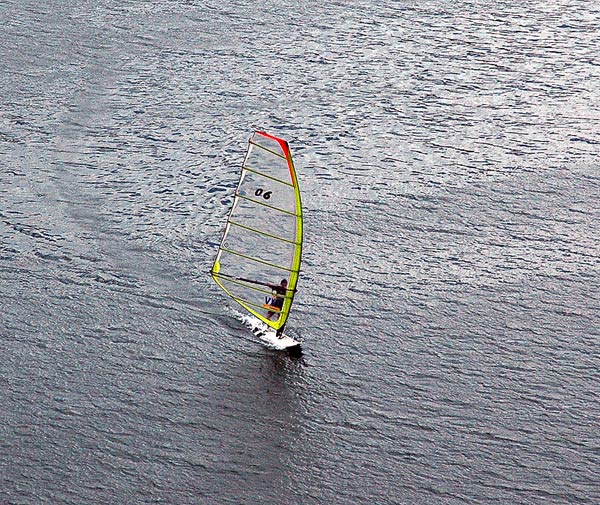 bungee2005