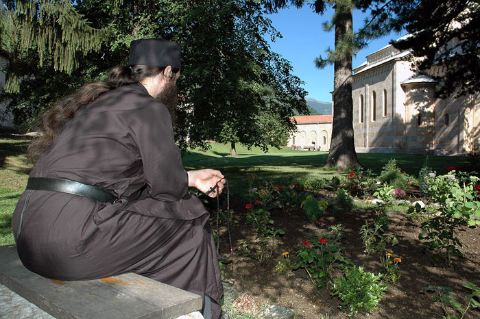 decani/zivot