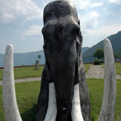 djerdap2007