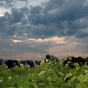 djerdap2007