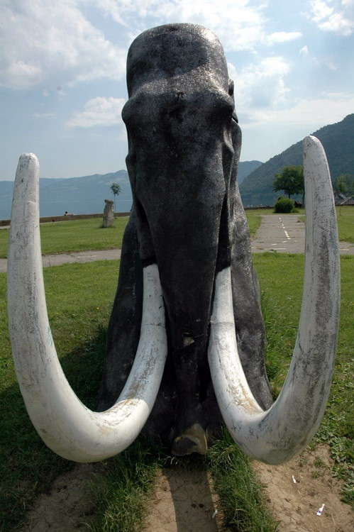 djerdap2007