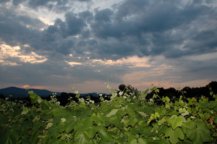 djerdap2007