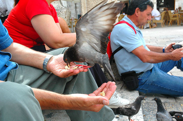 dubrovnik