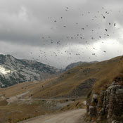 durmitor2007