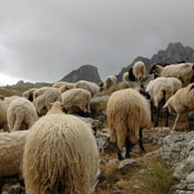 durmitor2007
