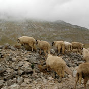 durmitor2007