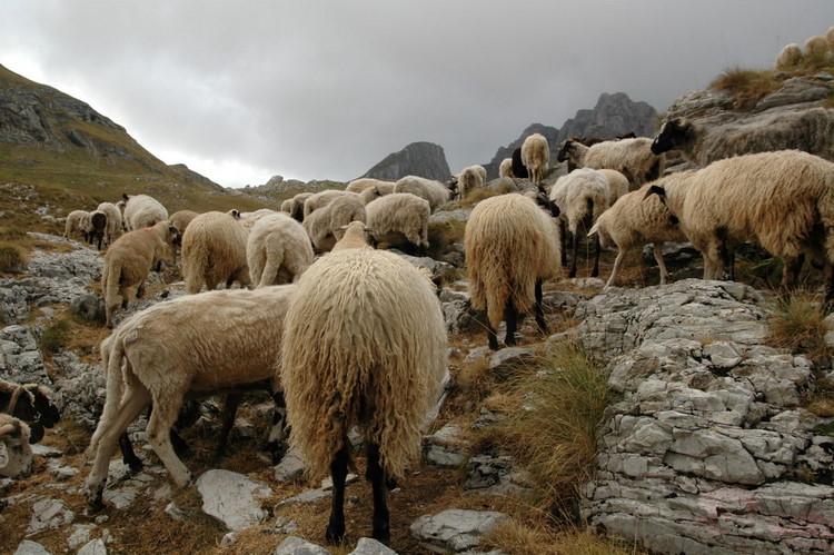 durmitor2007