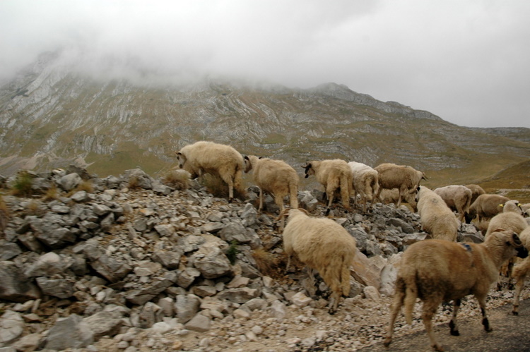 durmitor2007
