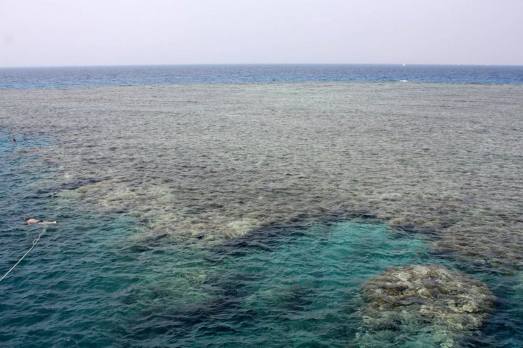 egipat2009