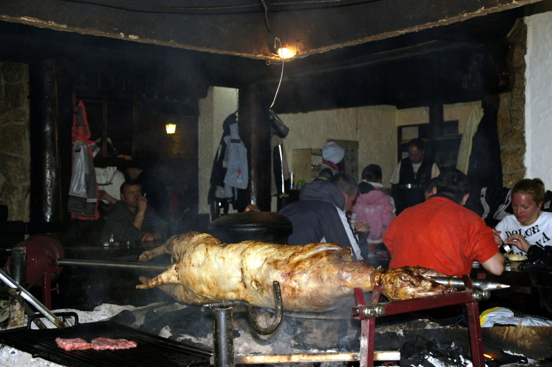 kop2008