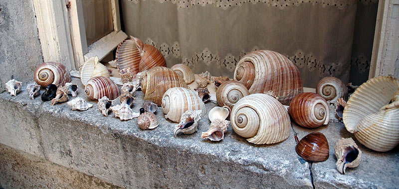primatijada2005