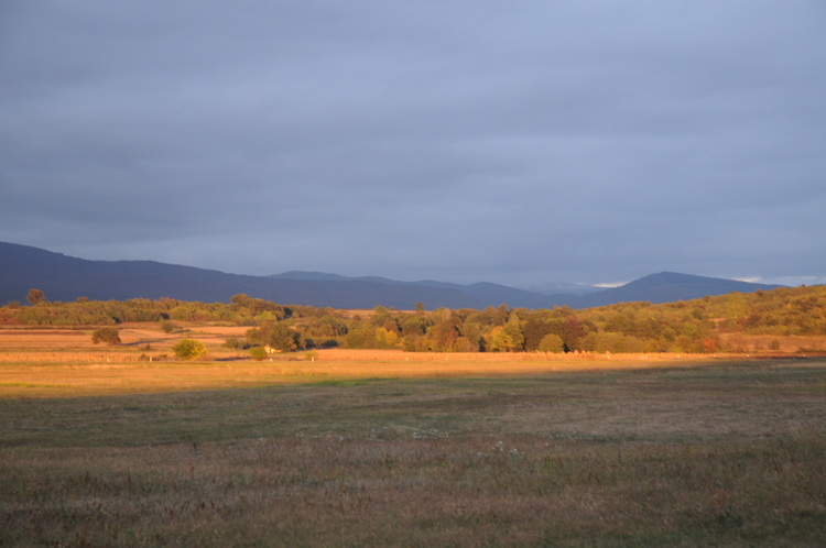 sky/2009-10-04-Paracin