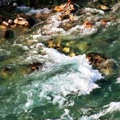 tara_rafting_aug2004