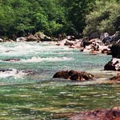 tara_rafting_aug2004