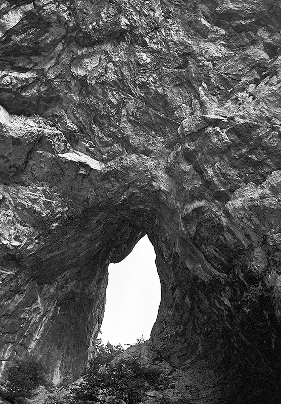 tara_rafting_aug2004