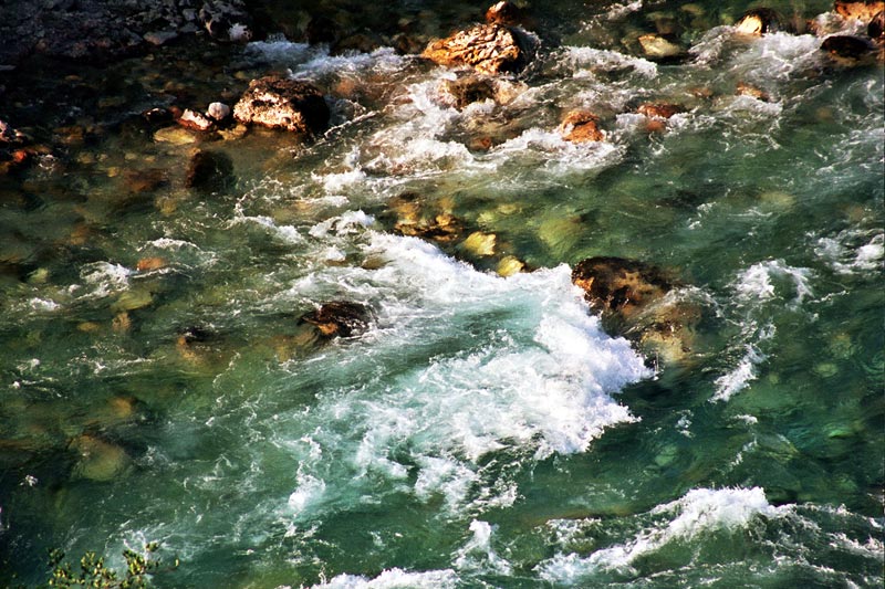 tara_rafting_aug2004