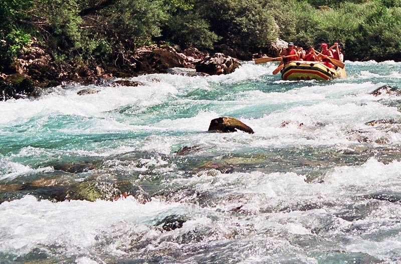 tara_rafting_aug2004