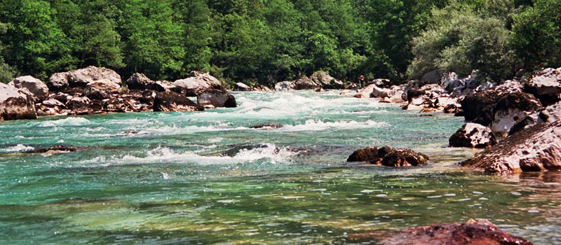 tara_rafting_aug2004